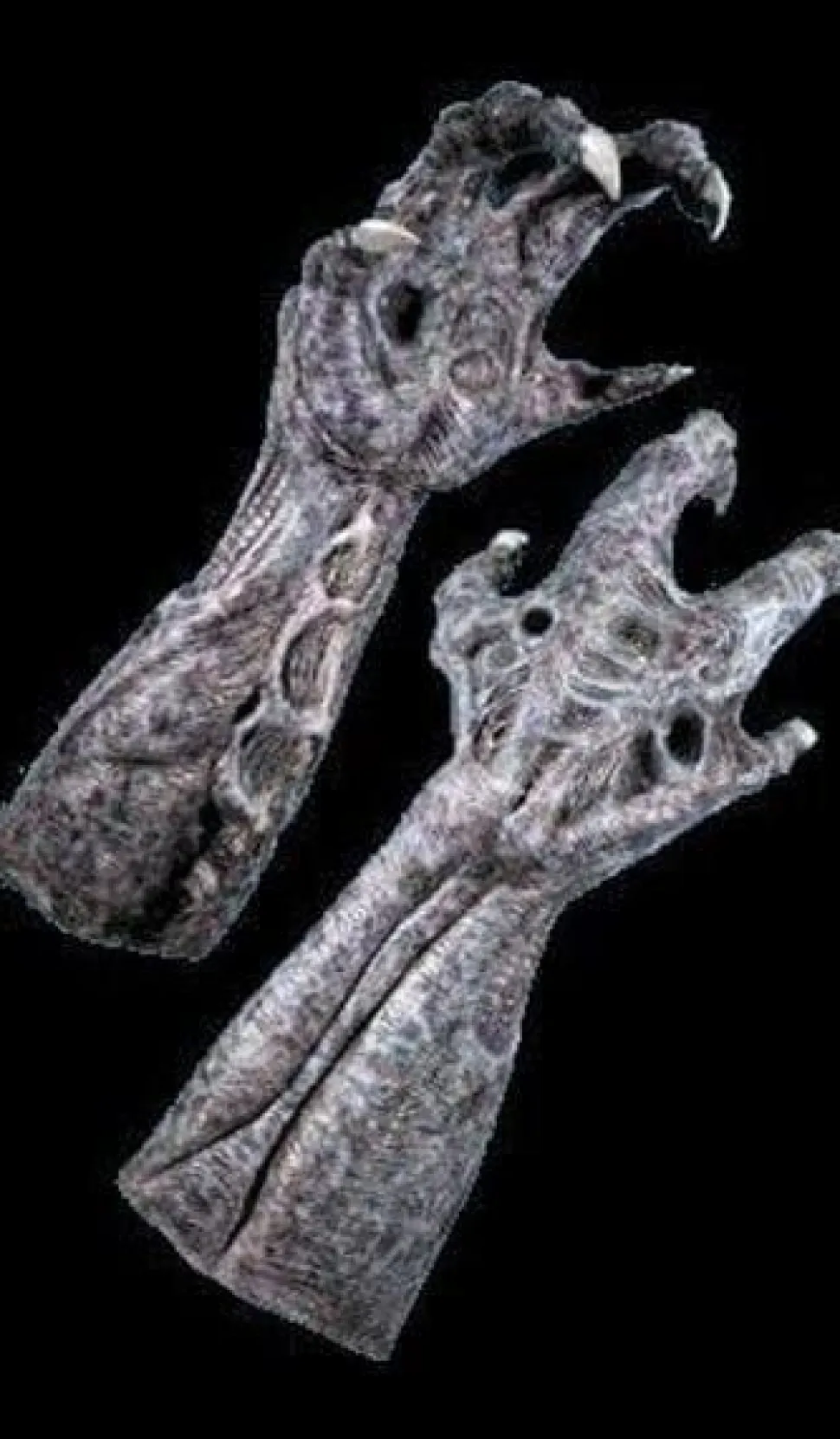 Alien Latex Hands Halloween Costume Gloves