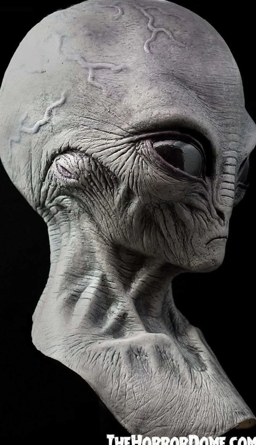 Area 51 Alien HD Studios Pro Collector Halloween Mask