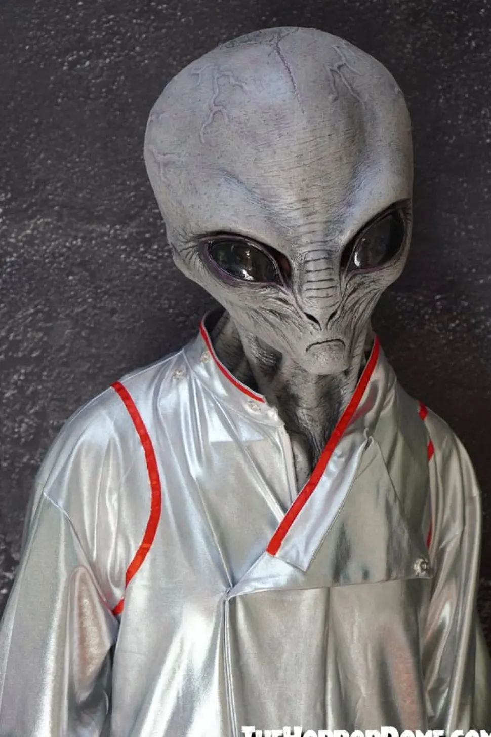 Area 51 Space Suit with Red piping Alien Costume