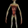 Autopsy Alien Visitor Professional Halloween Prop