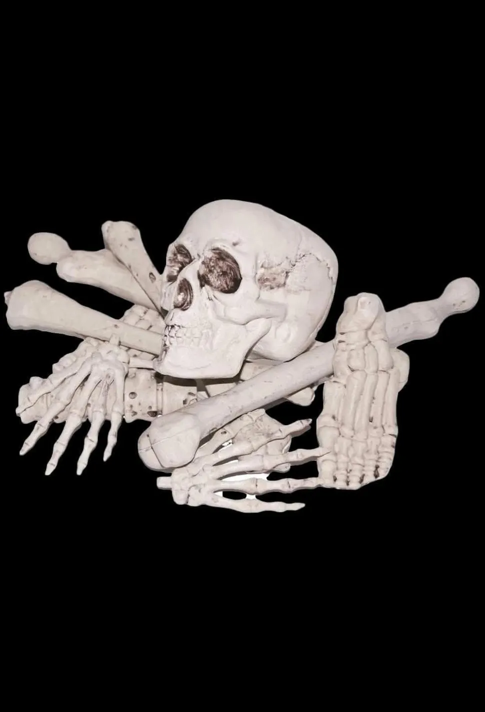 Bag of Bones Halloween Prop