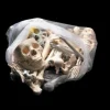 Bag of Bones - Large Halloween Prop