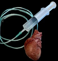 Beating "Human Heart" Silicone Human Body Part Halloween Prop
