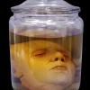 Ben Head in Jar Halloween Prop