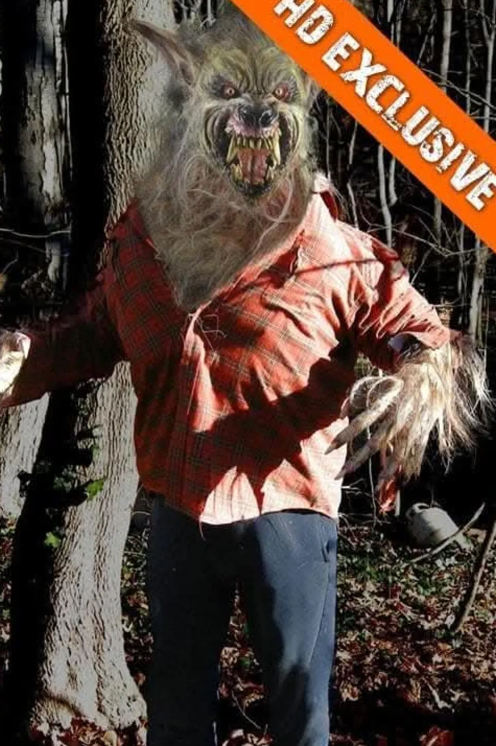 Big Bad Wolf HD Studios Pro Halloween Costume
