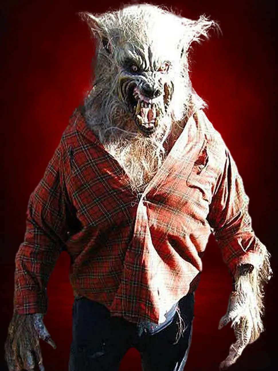 Big Bad Wolf HD Studios Pro Halloween Costume