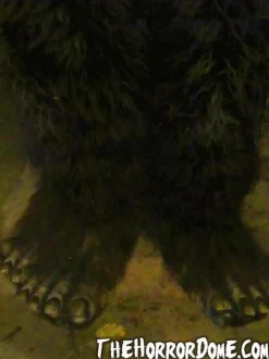 Bigfoot HD Studios Pro Costume