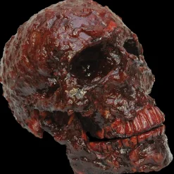 Bloody Resin Skull Halloween Prop