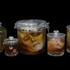 Body Part Specimen Jar Halloween Prop Combo
