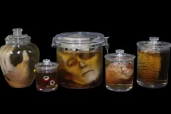 Body Part Specimen Jar Halloween Prop Combo