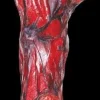 Burnt Arm Gory Halloween Prop