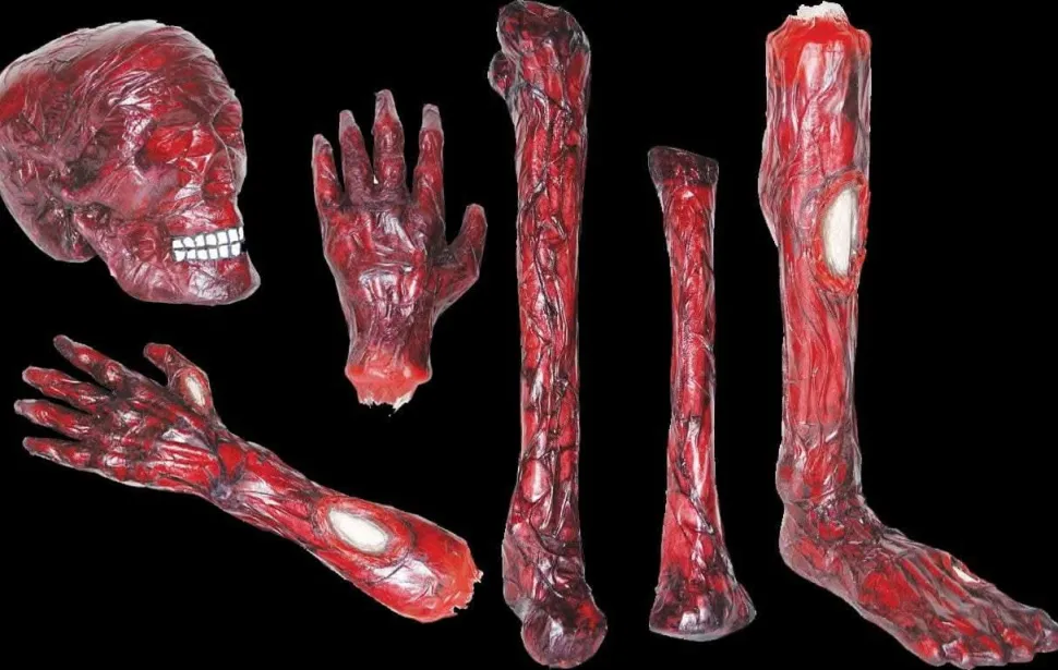 Burnt Body Parts Gory Halloween Props - Package Deal