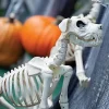 Buster Bonez Dog Skeleton Halloween Prop