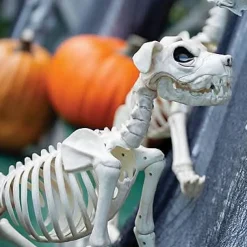 Buster Bonez Dog Skeleton Halloween Prop