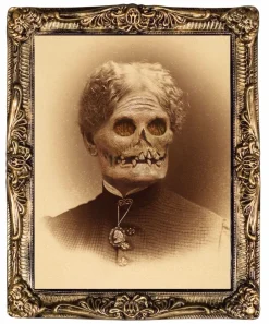Changing Portrait - Aunt Hazel Halloween Decoration
