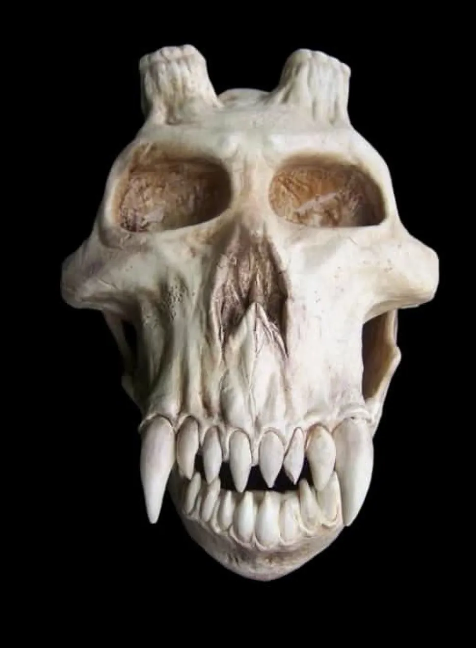Chupacabra Skull Halloween Prop