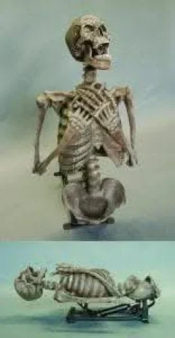 Corpse Erector Skeleton Halloween Animatronic
