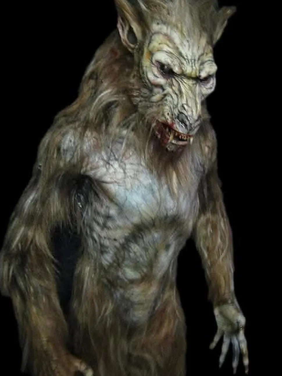 Cujo Professional Halloween Costume
