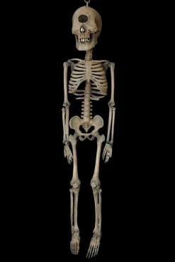 3' Cyclops Skeleton Halloween Prop