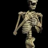 Dead Rising Skeleton Halloween Animatronic