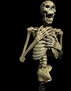 Dead Rising Skeleton Halloween Animatronic