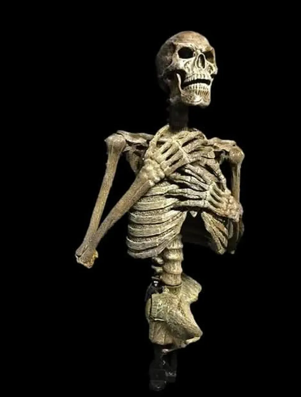 Dead Rising Skeleton Halloween Animatronic