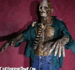 Decayed Zombie HD Studios Pro Halloween Costume