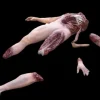 Deluxe Dismembered Body Combo Halloween Prop