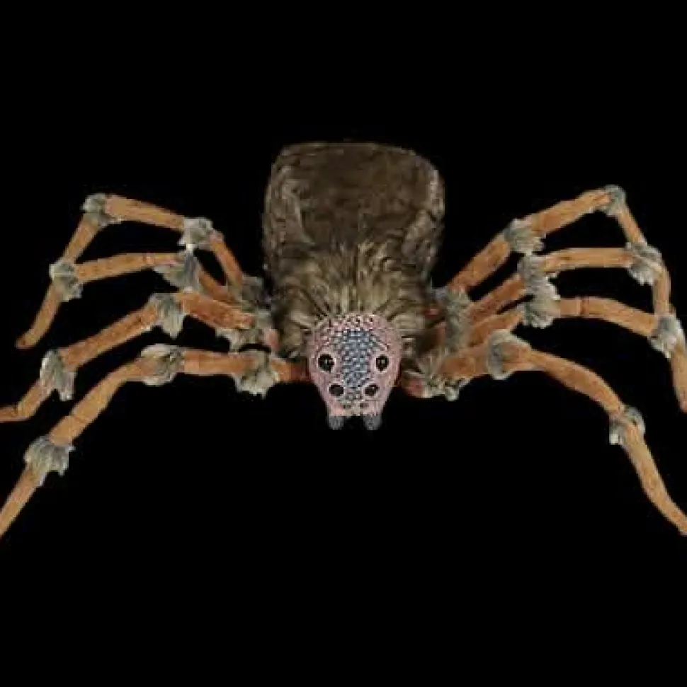 Deluxe Light-Up Wolf Spider Halloween Prop