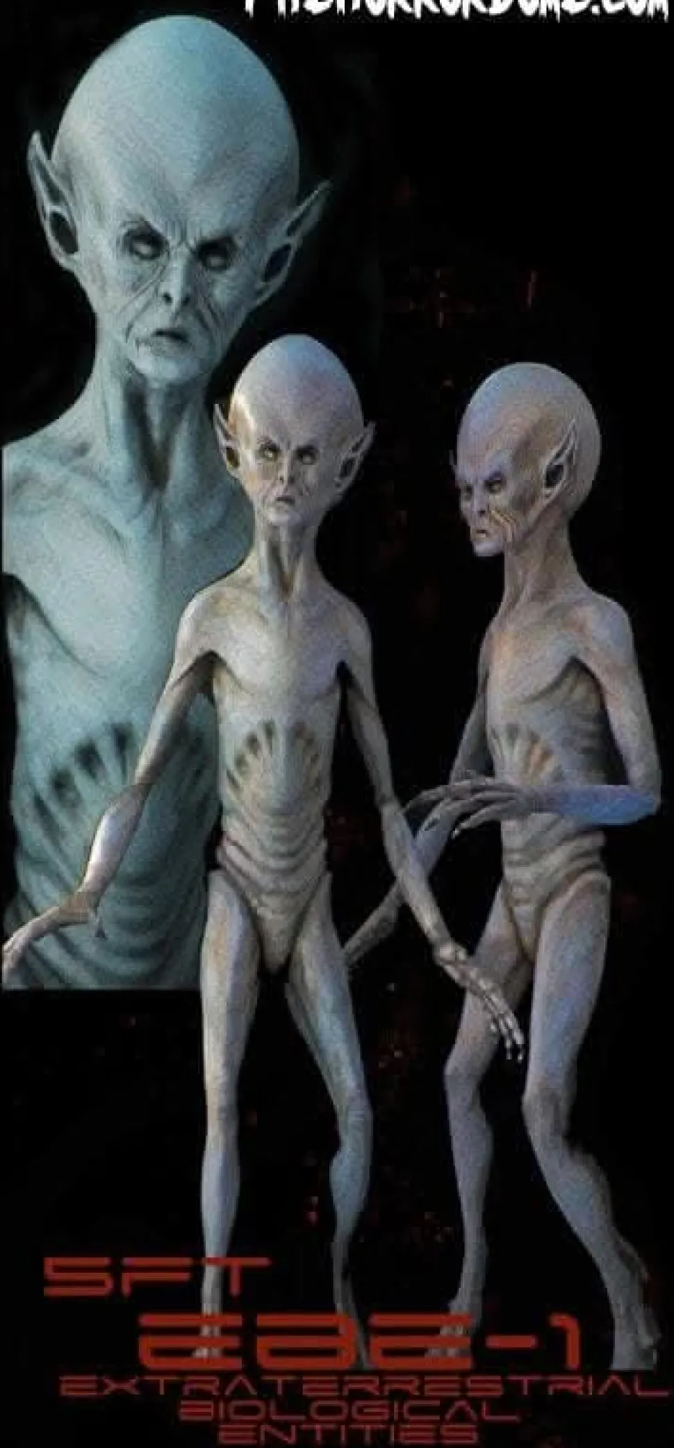 EBE Extraterrestrial Biological Entity Professional Alien Prop