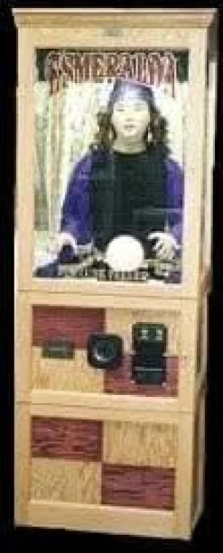 Esmeralda Animatronic Fortune Teller Machine