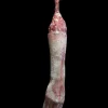 Frozen Jamie Arm Dangler Halloween Prop
