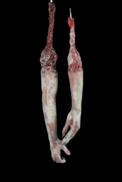 Frozen Jamie Arm Dangler Limb Pair Halloween Prop