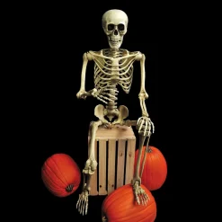 5 Ft. Realistic Posable Articulated Skeleton Halloween Decoration
