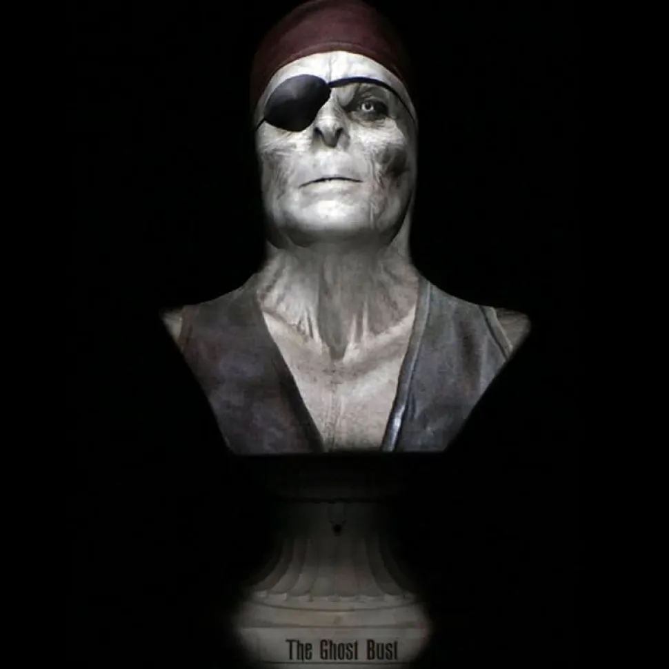 Ghost Bust Pro - Pirate Captain's Bust Animated Haunted Projection Prop