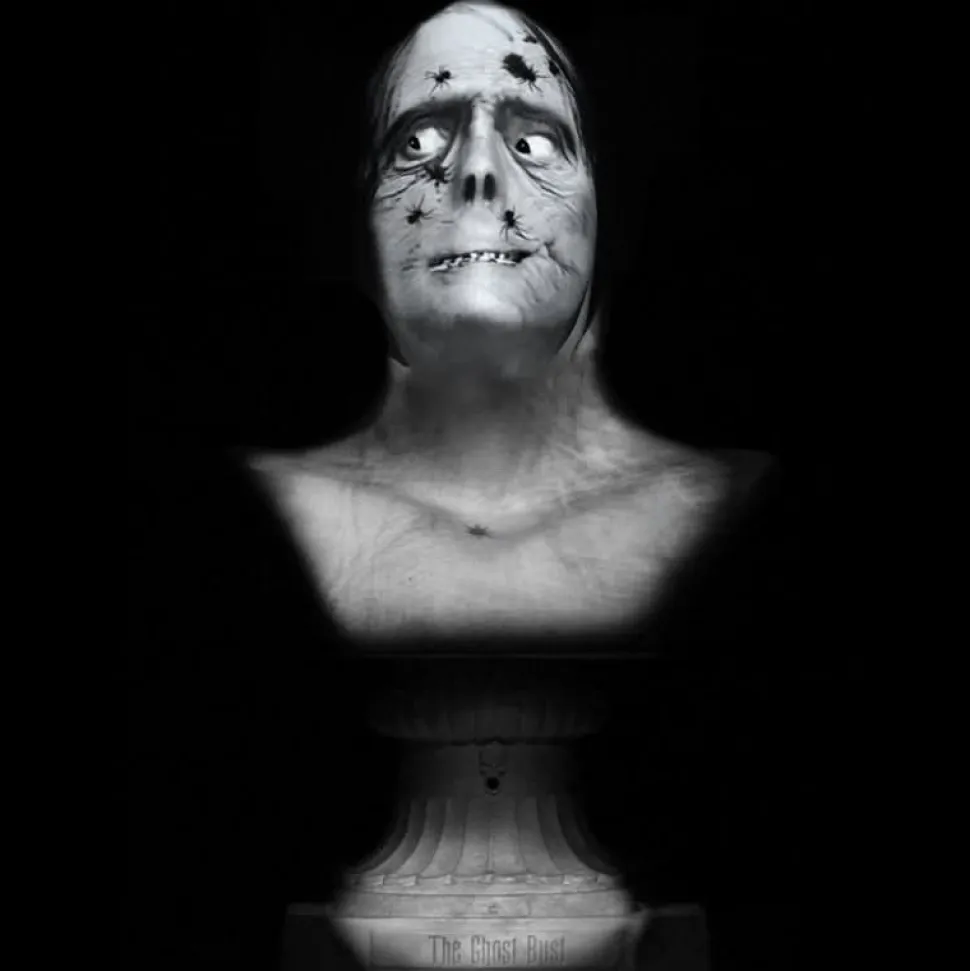 Ghost Bust Pro - Spider Face Animated Haunted Projection Prop