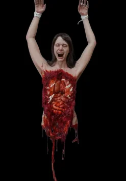 Gory Gutted Aggy Dangler Halloween Prop