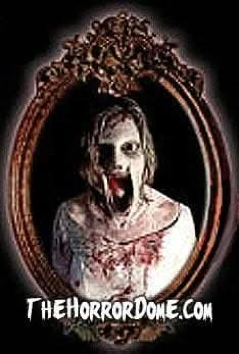 Haunted Mirror - Scary Mary Professional Animated Halloween Decoration