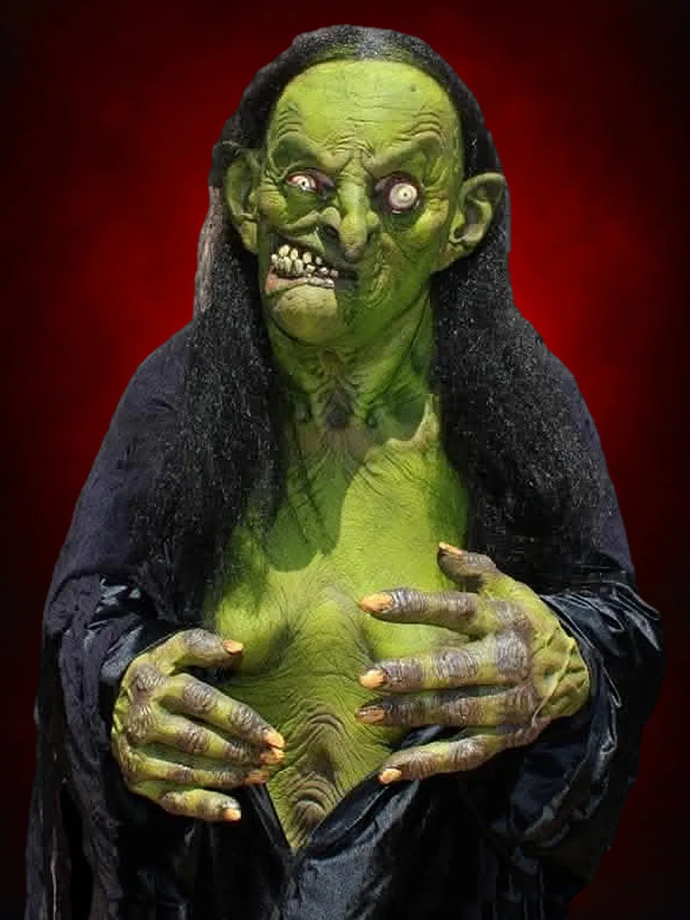Helga the Witch HD Studios Pro Halloween Costume