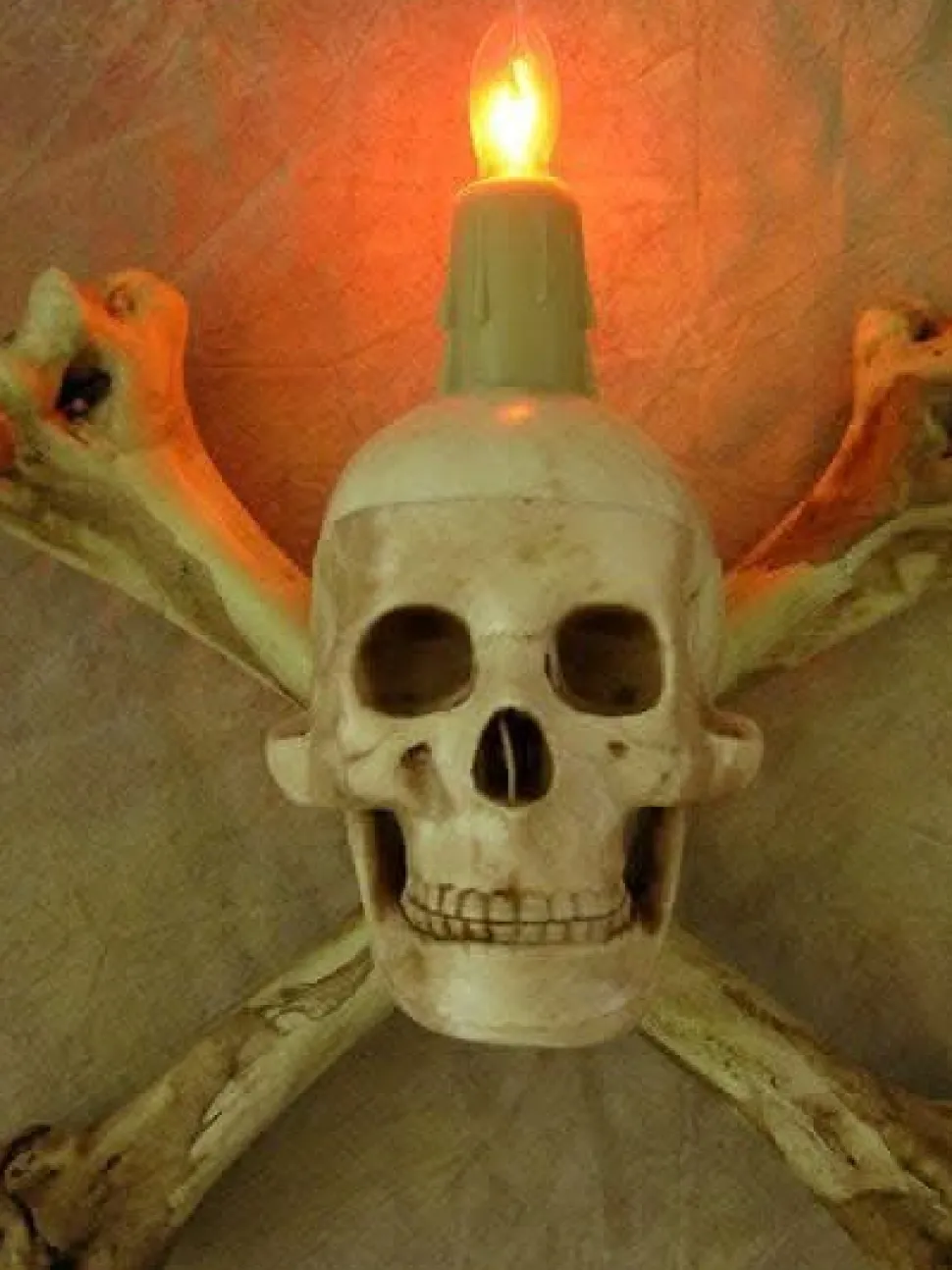 Humerus Bone Wall Sconce with 3 inch Skull Haunted House Lighting