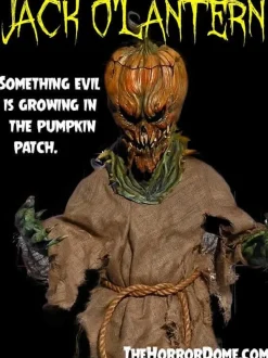 Jack O'Lantern HD Studios Halloween Costume