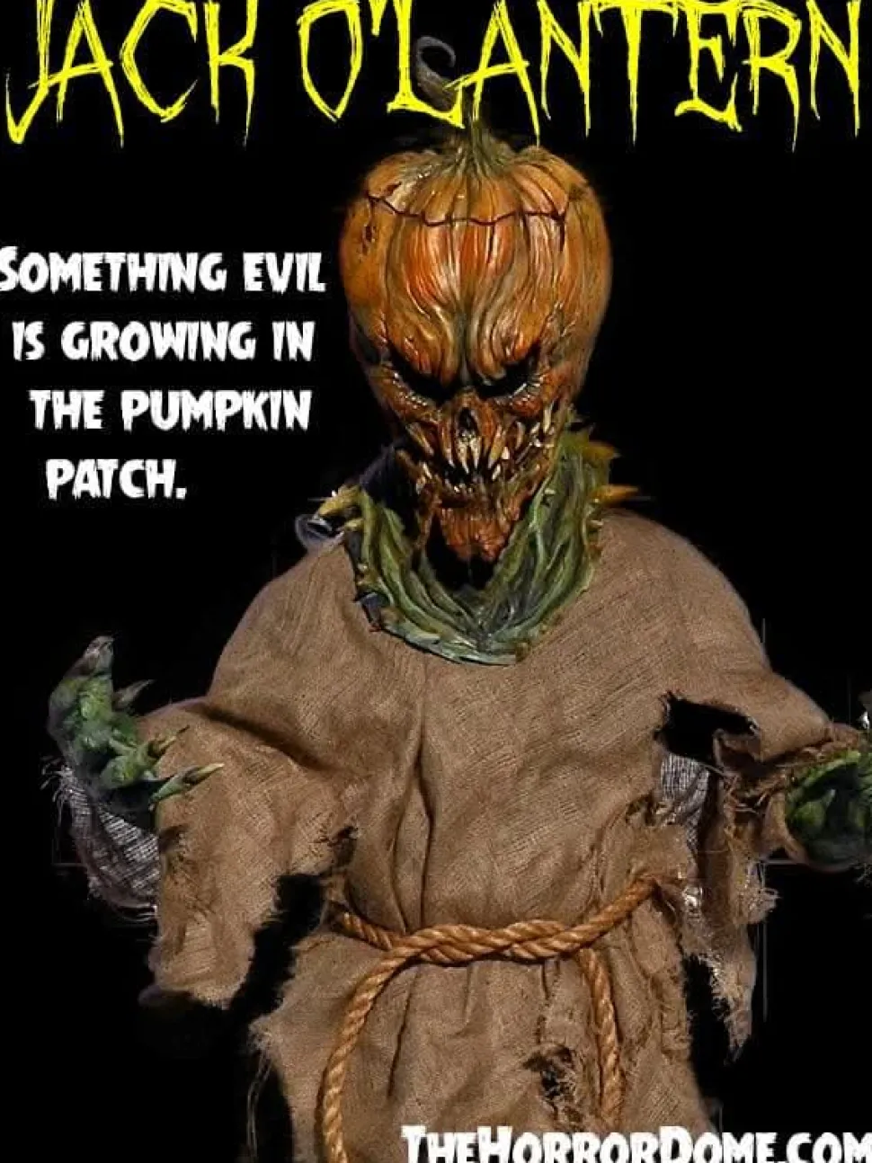 Jack O'Lantern HD Studios Halloween Costume