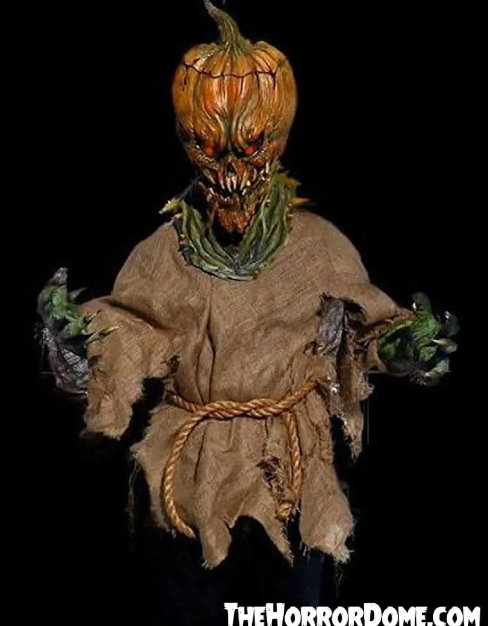 Jack O'Lantern HD Studios Halloween Costume