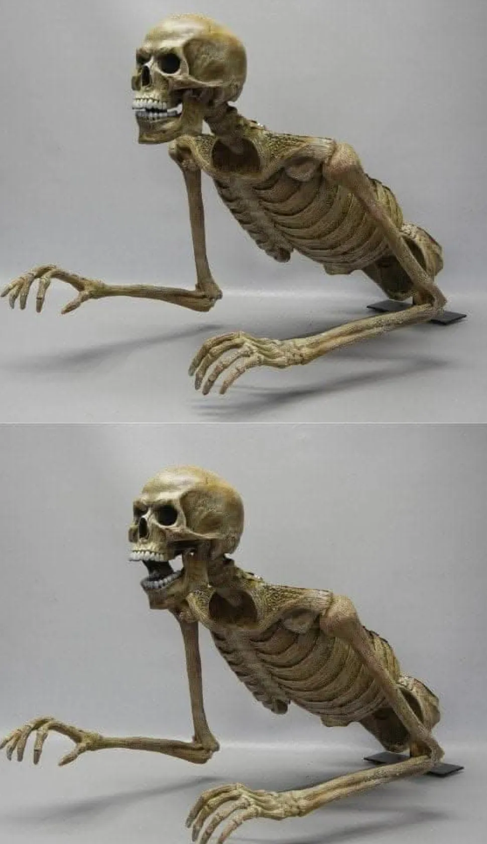 Jaw Drop Peeper Skeleton Halloween Animatronic