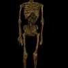 Life- Size Rotted Skeleton
