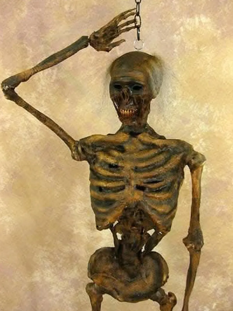 Life- Size Rotted Skeleton