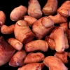 Lot of 20 "Severed Toes" Halloween Prop