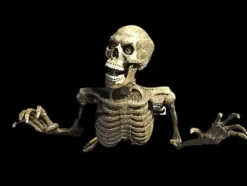 Lunging Peeper Skeleton Halloween Animatronic