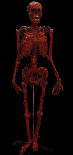 Meat Mummy Halloween Prop