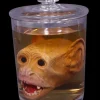 Monkey Head Specimen Jar Halloween Prop